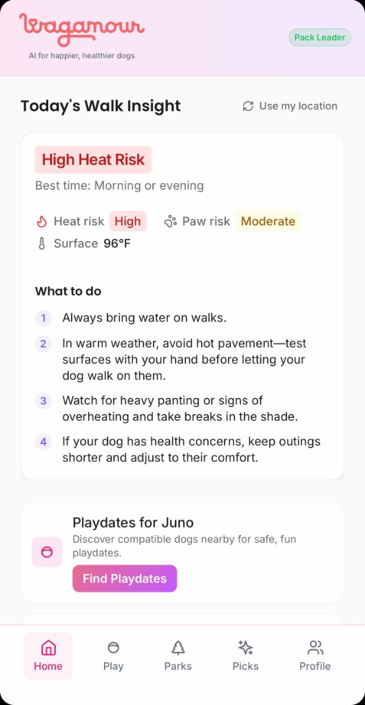 Wagamour Home: Today’s Walk Insight with heat, paw, and surface details
