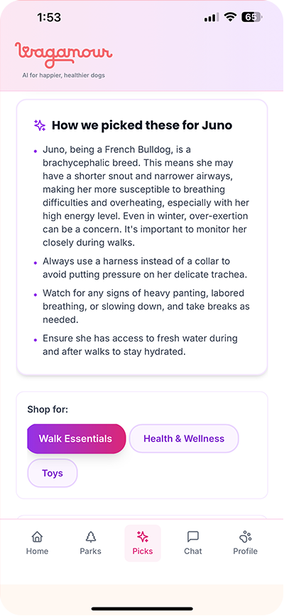 AI Product Picks - Wagamour App Screenshot